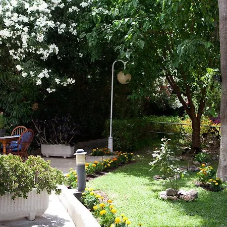 Central Park Palma